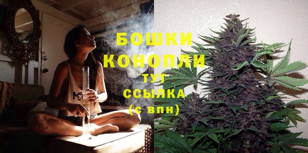 сатива Абаза