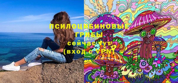 сатива Абаза