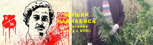 сатива Абаза
