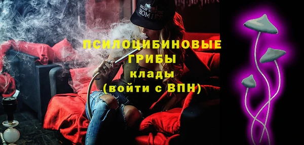 сатива Абаза
