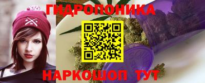 mdpv Лесосибирск