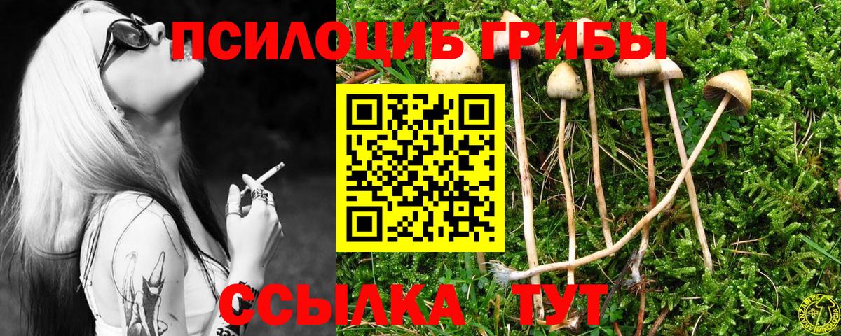 Галлюциногенные грибы прущие грибы Белая Калитва